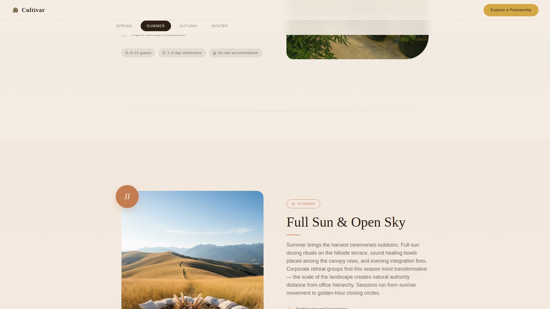 Cannabis Industry Advanced Professional Website Template