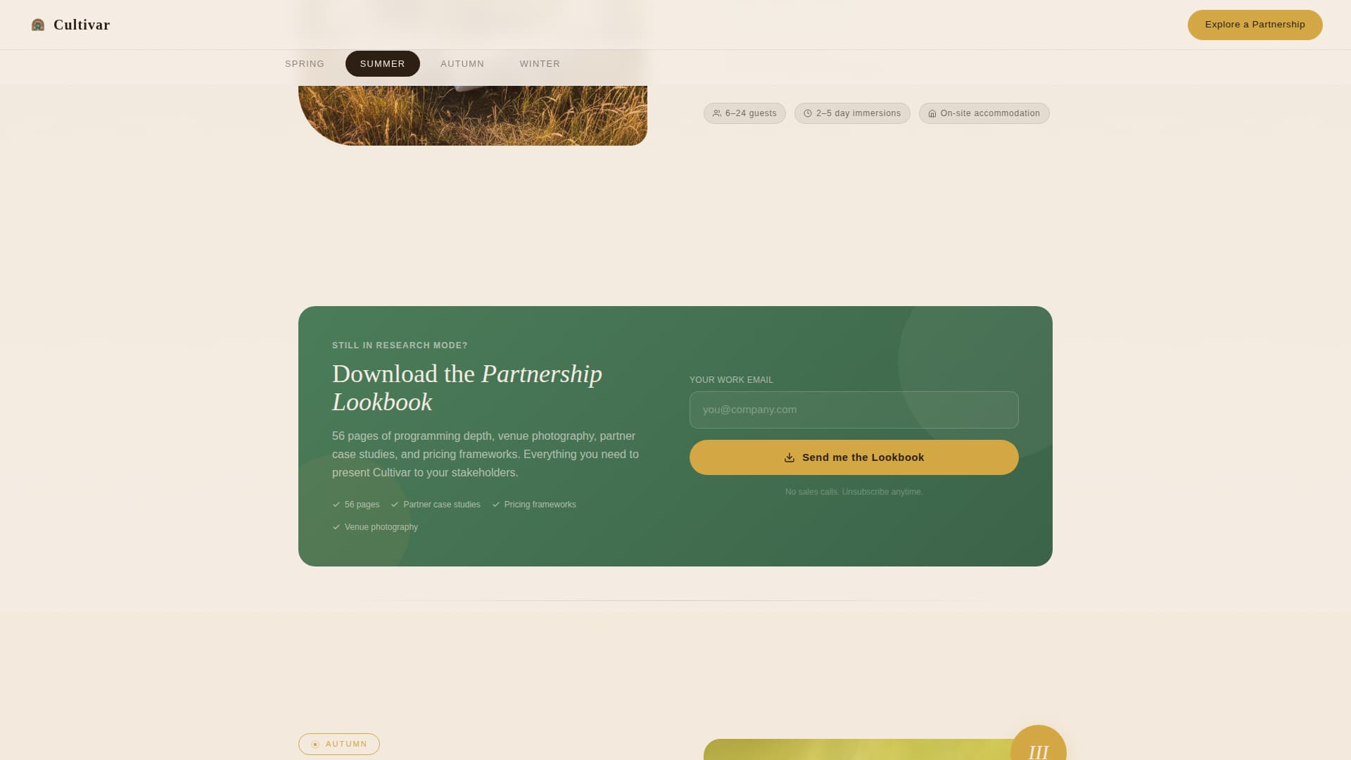 Cannabis Industry Advanced Professional Website Template