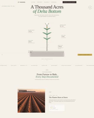 Crop & Grain Farming Advanced Professional Website Template