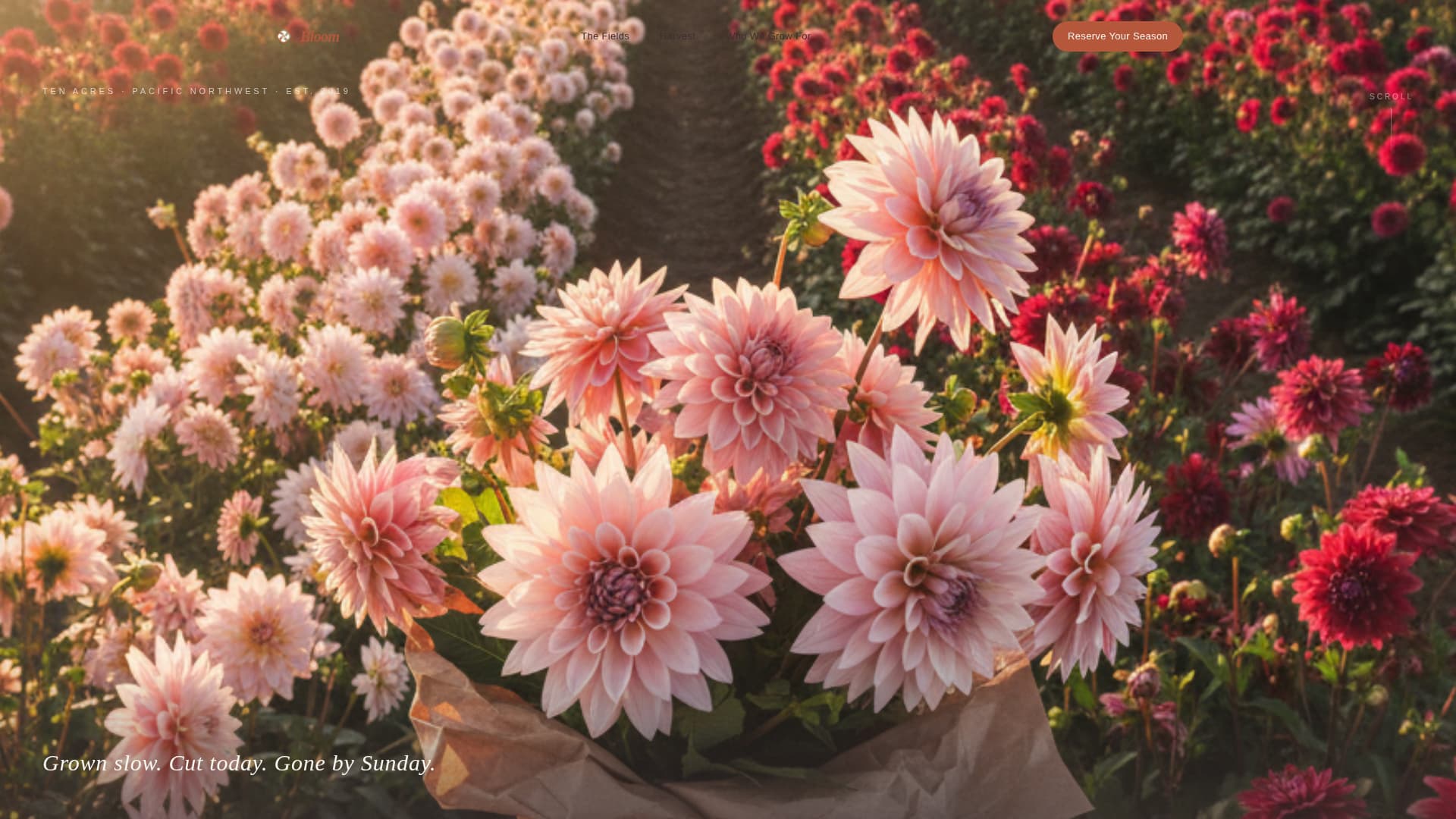 Nursery & Plant Farm Blog & Content Website Template