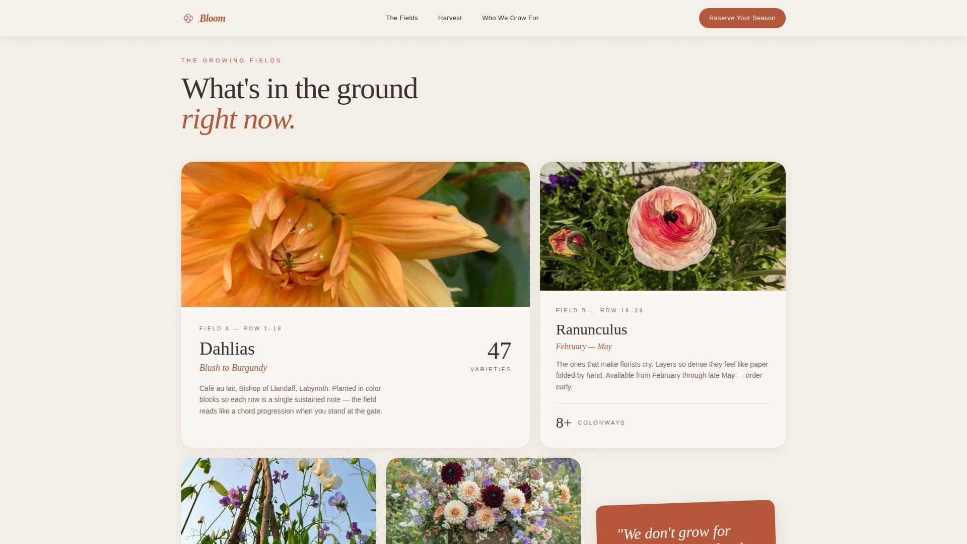 Nursery & Plant Farm Blog & Content Website Template