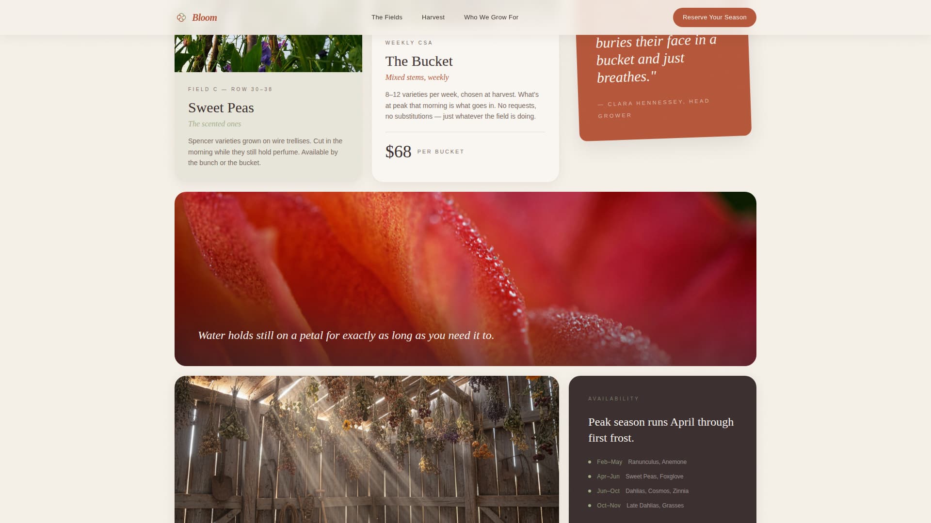 Nursery & Plant Farm Blog & Content Website Template
