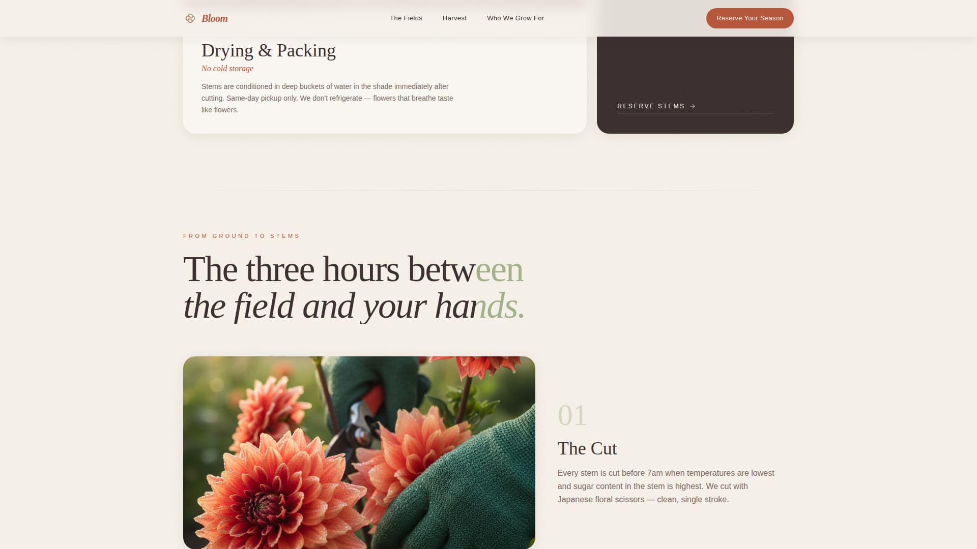 Nursery & Plant Farm Blog & Content Website Template