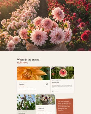 Nursery & Plant Farm Blog & Content Website Template