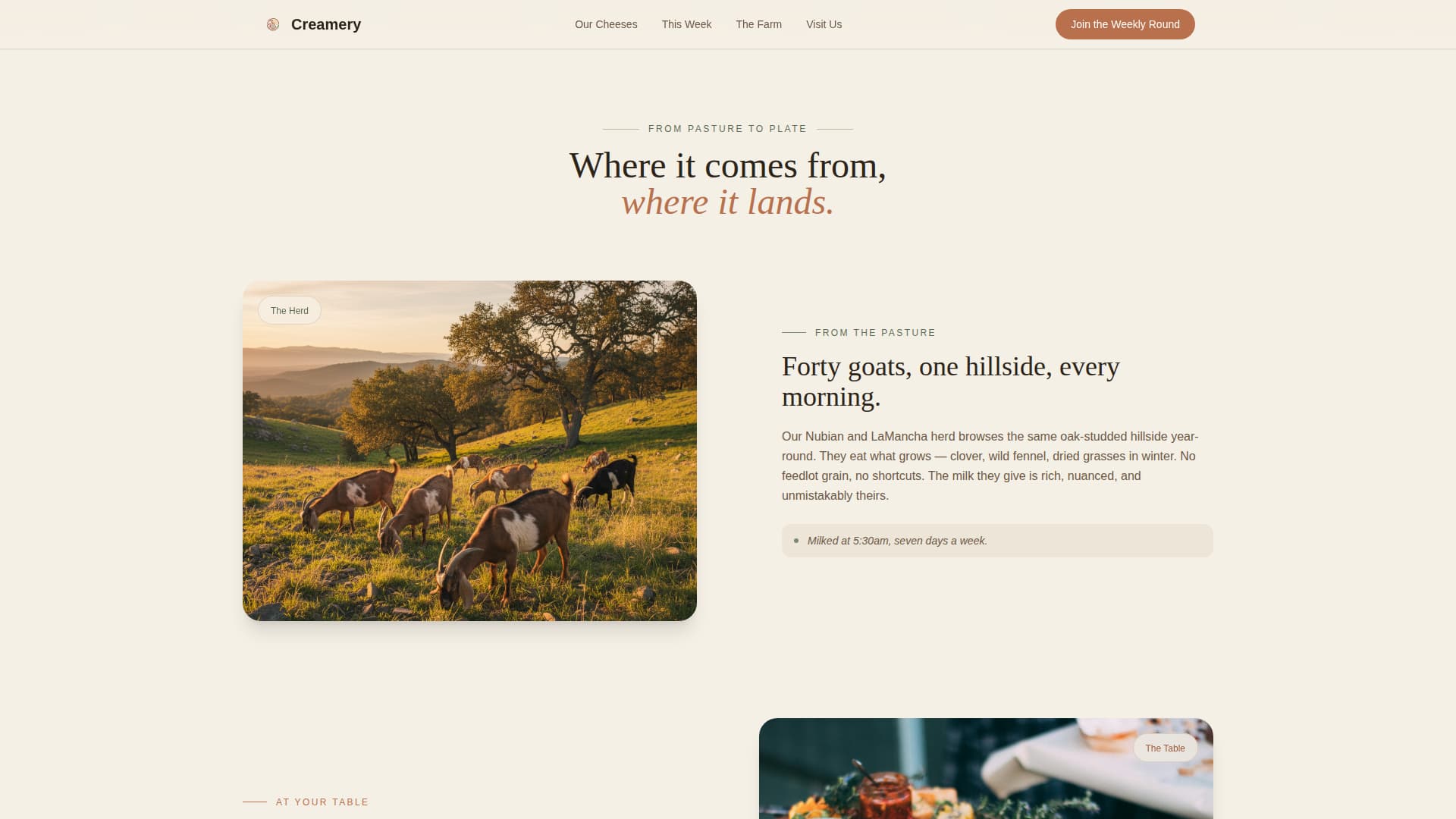 Dairy & Poultry Farm Booking Website Template