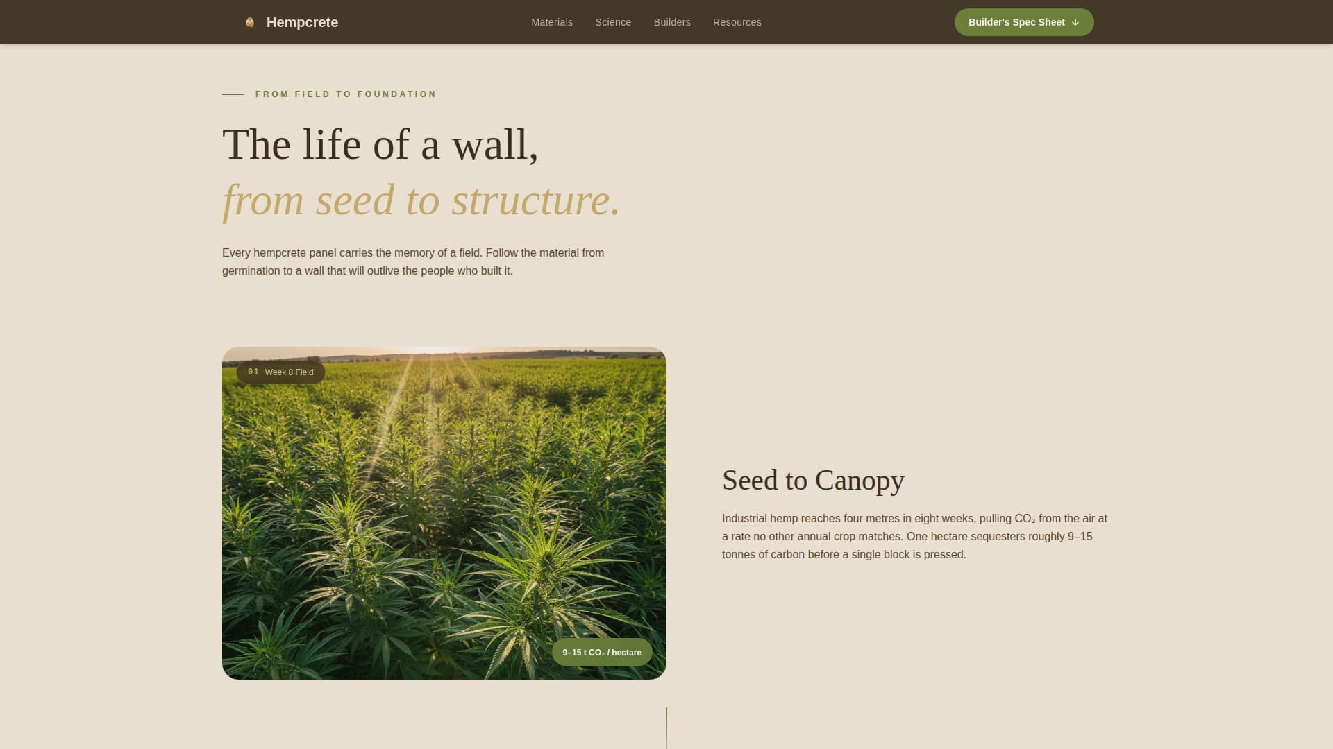 Expert Cannabis Industry Services Professional Website Template