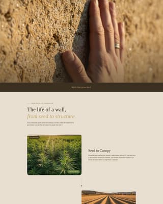 Expert Cannabis Industry Services Professional Website Template