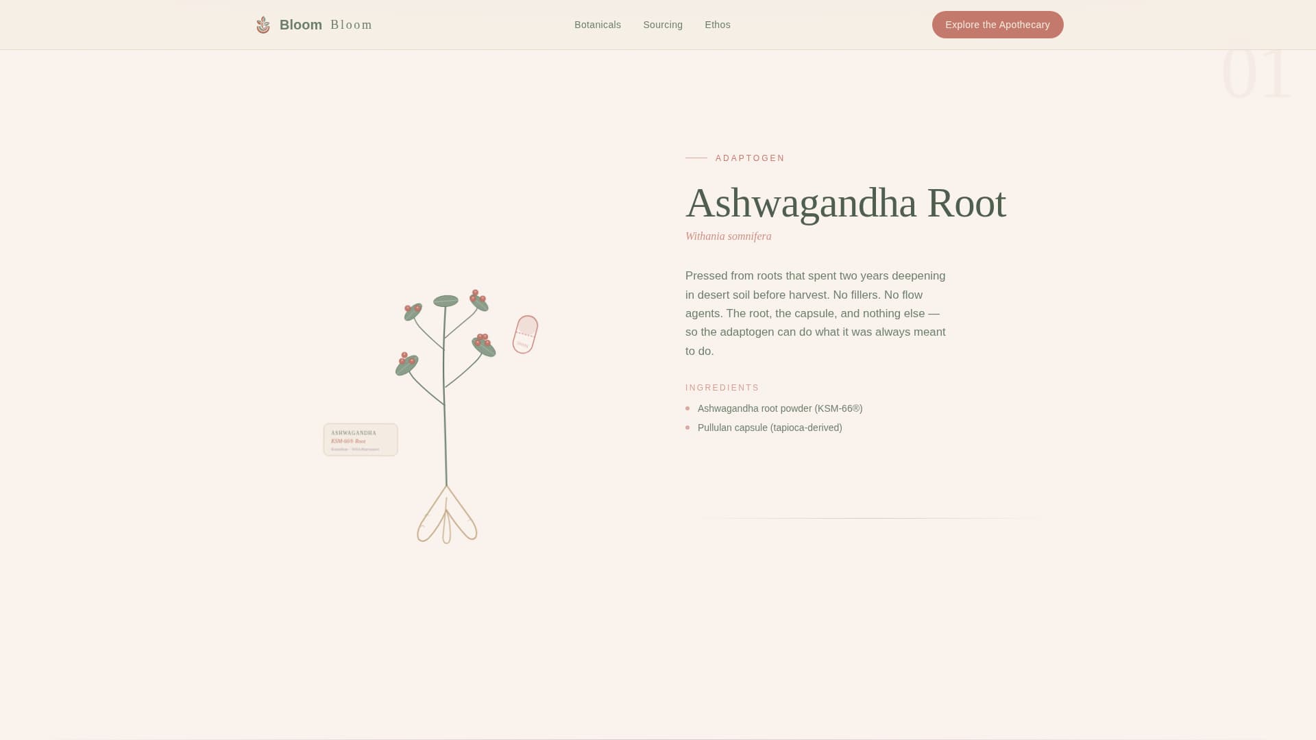 Vegetarian Food & Dining Professional Website Template