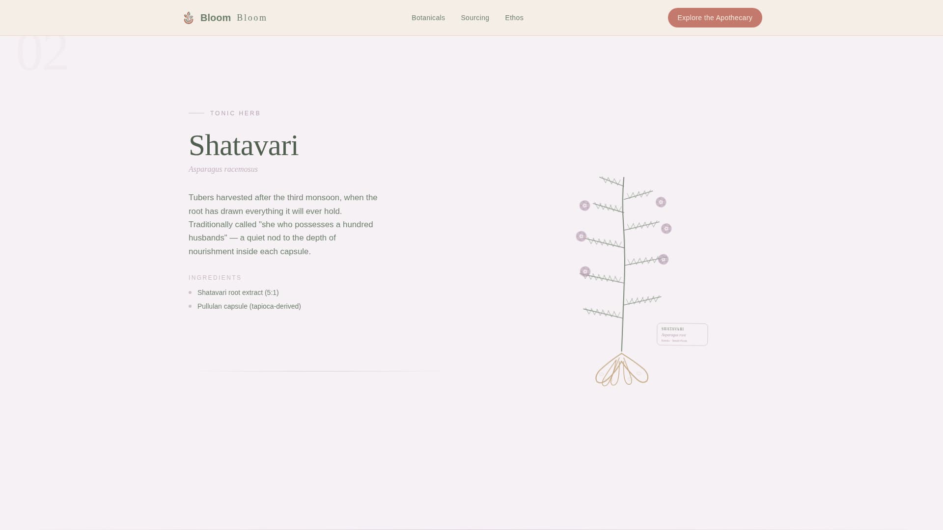 Vegetarian Food & Dining Professional Website Template
