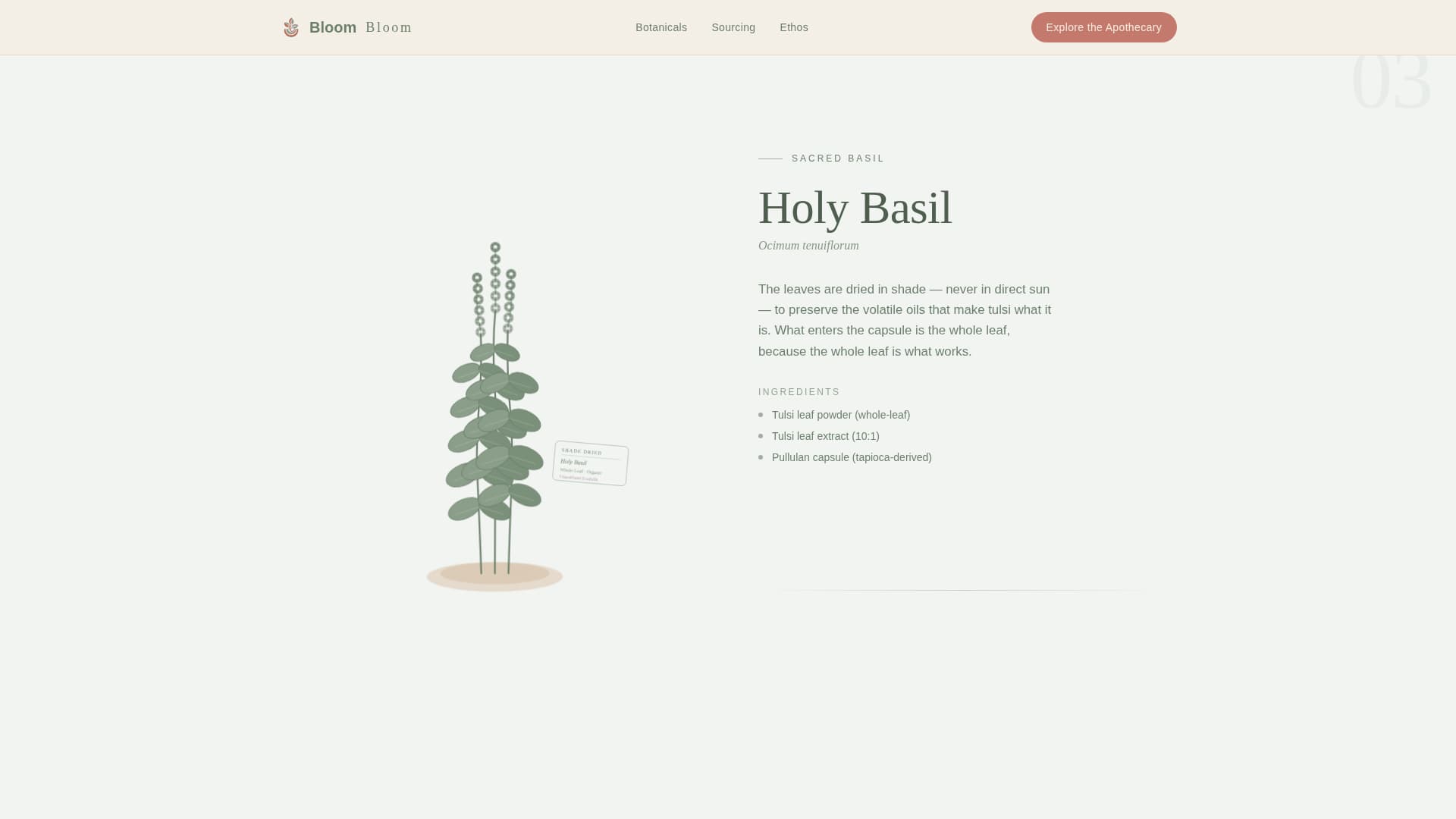 Vegetarian Food & Dining Professional Website Template
