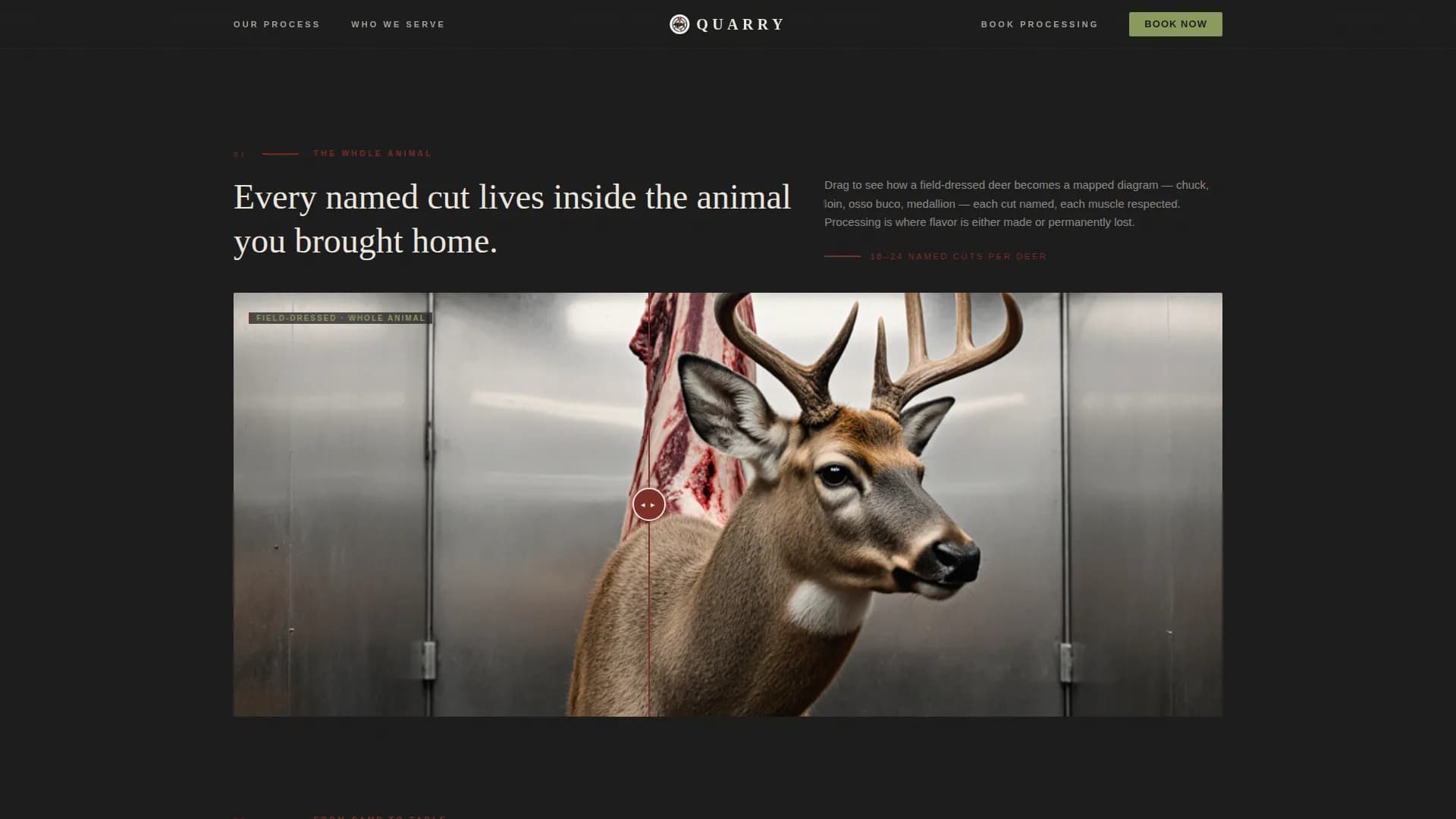 Advanced Meat & Seafood Appointment Booking Website Template