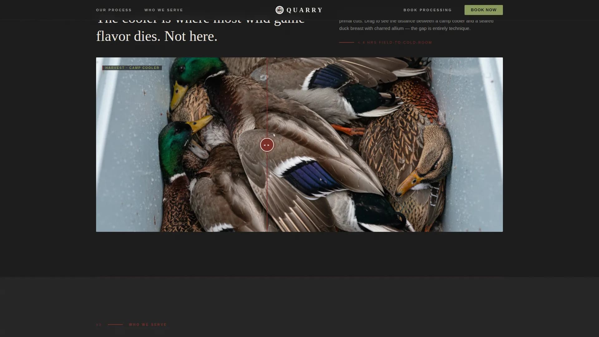 Advanced Meat & Seafood Appointment Booking Website Template