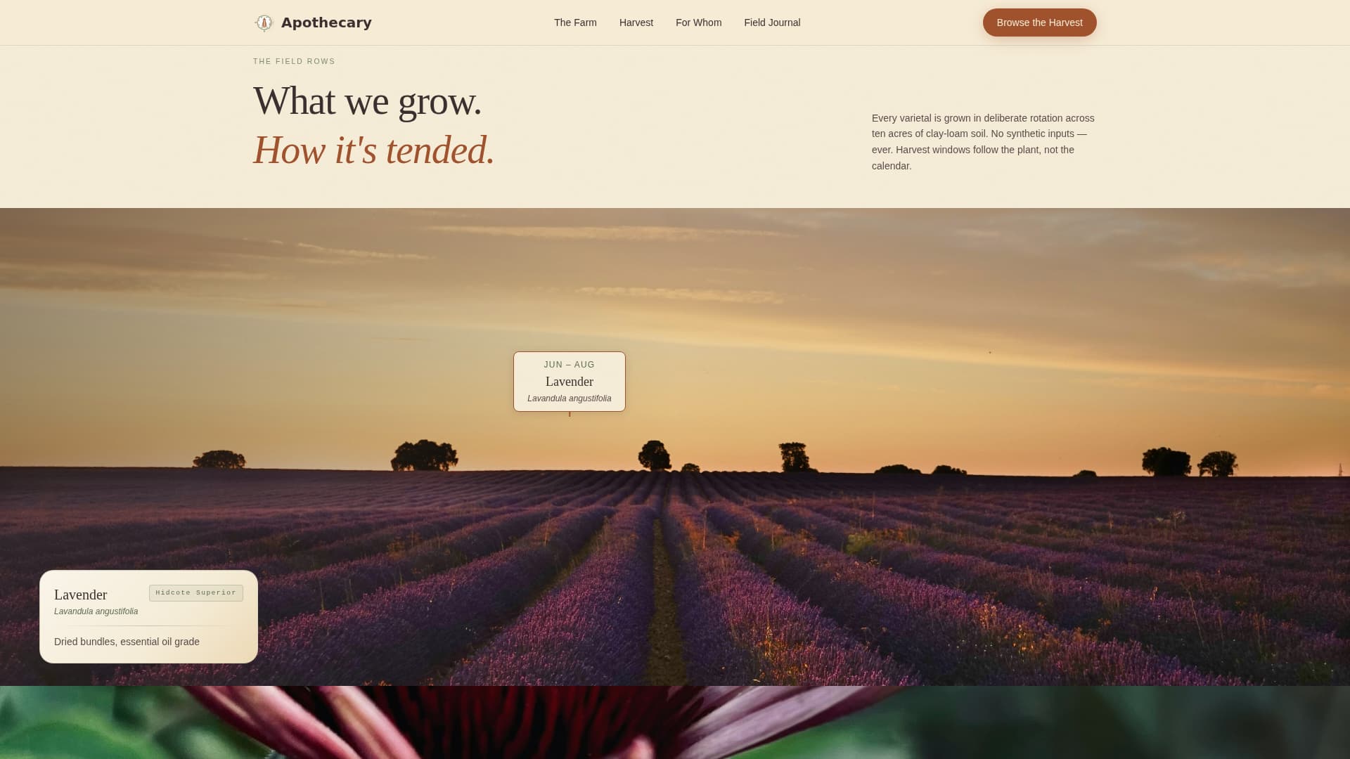 Advanced Nursery & Plant Farm Professional Website Template