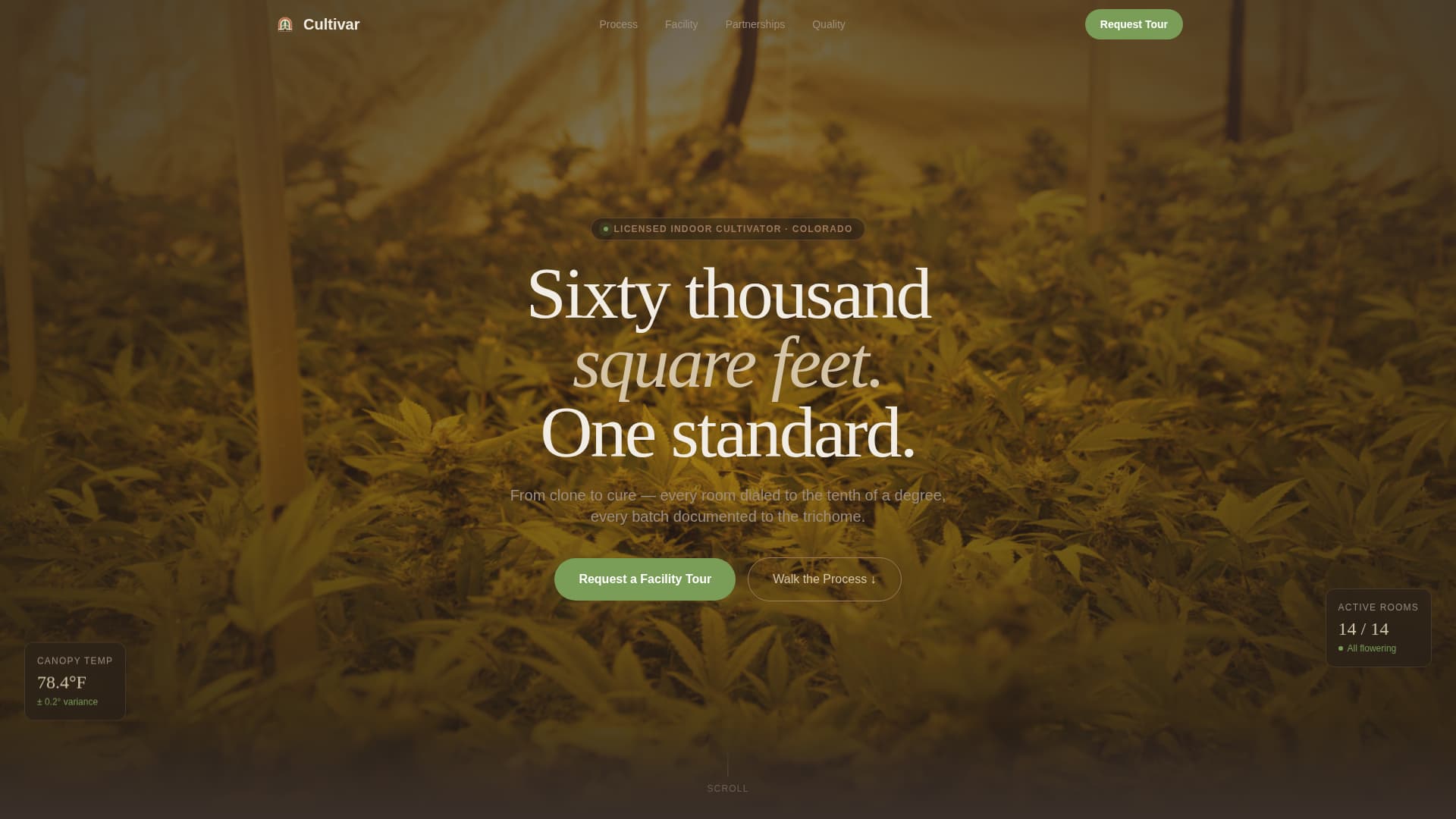 Cannabis Cultivation & Production Professional Website Template