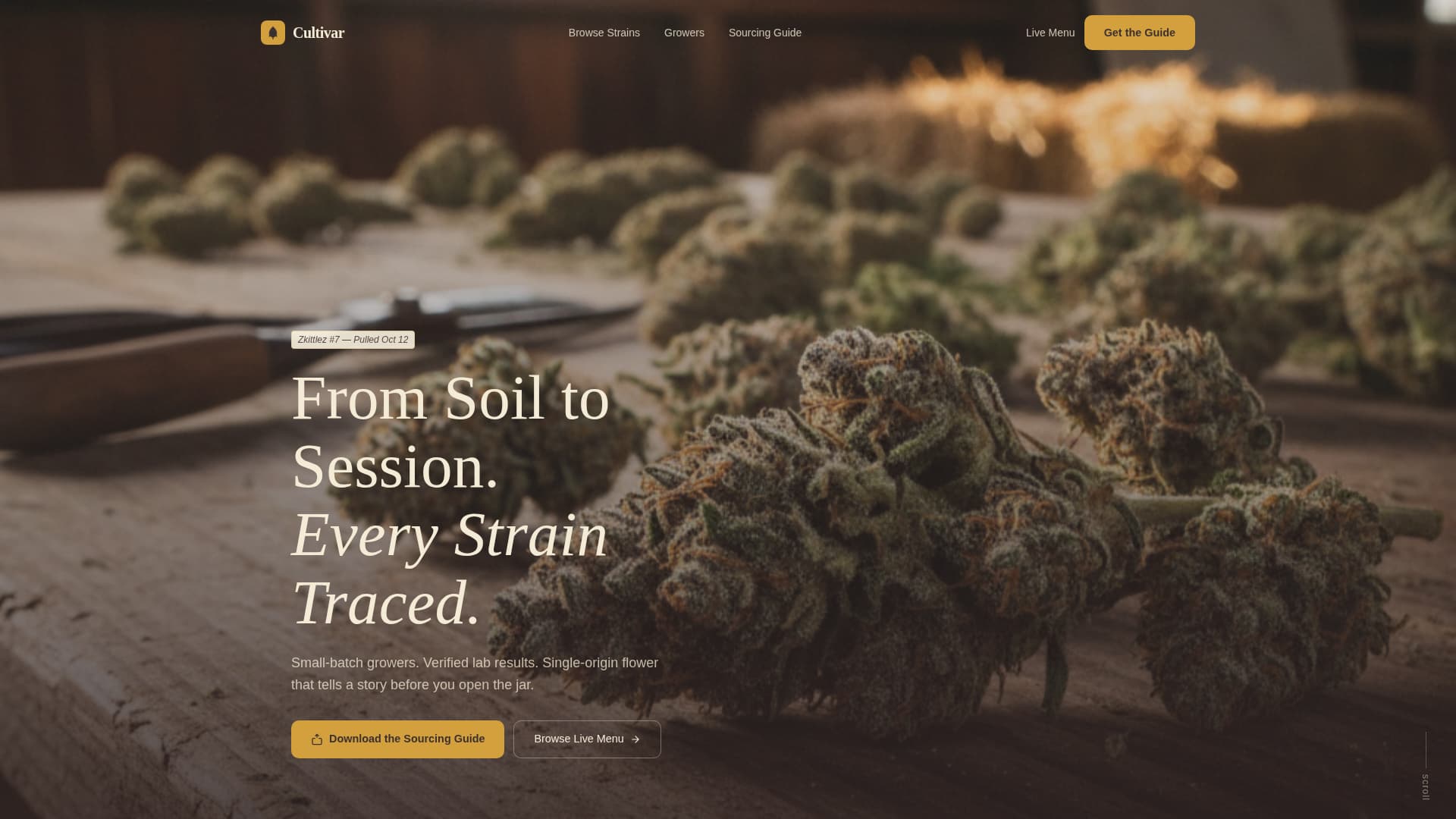Dispensary & Retail Professional Website Template