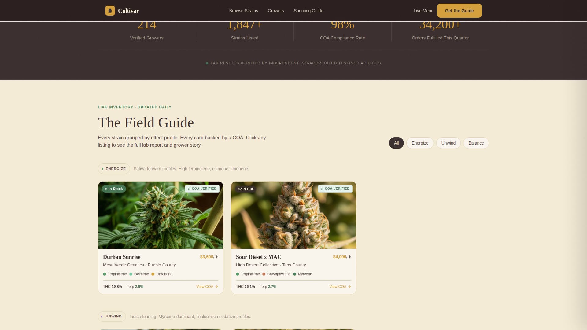Dispensary & Retail Professional Website Template