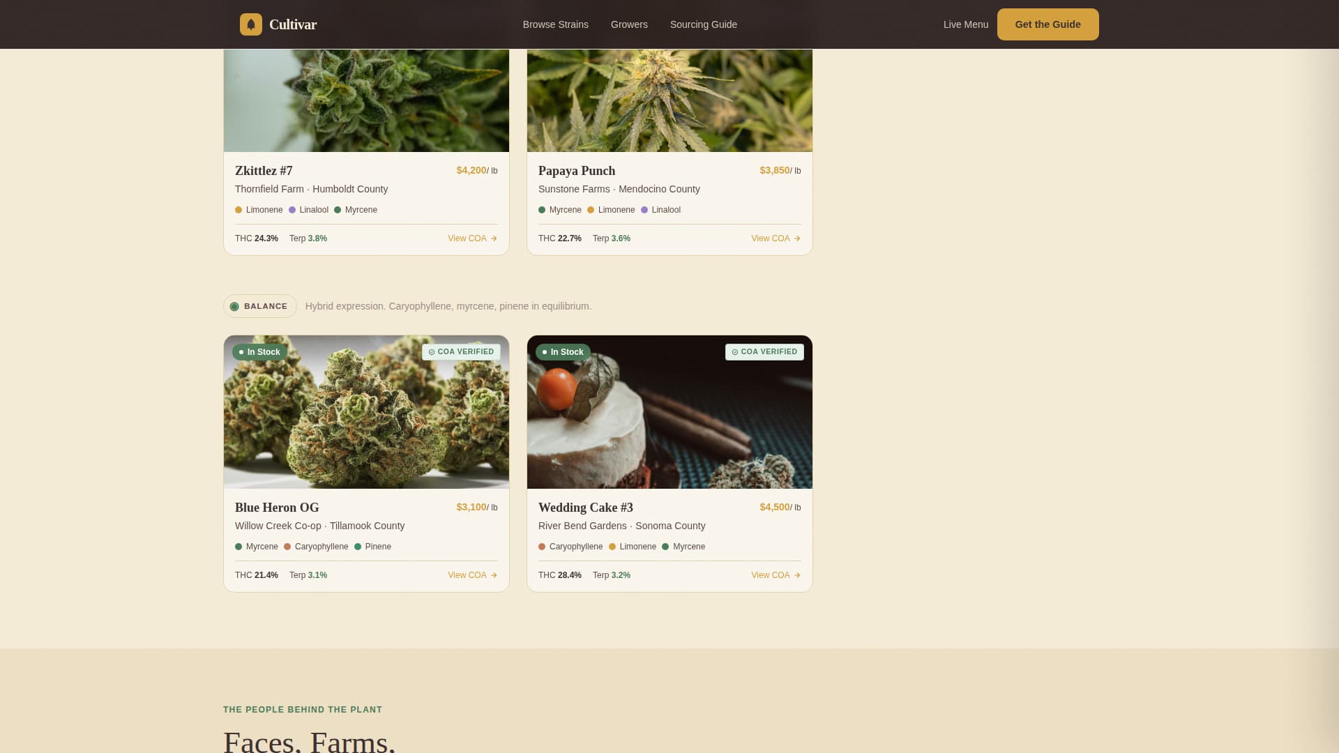 Dispensary & Retail Professional Website Template