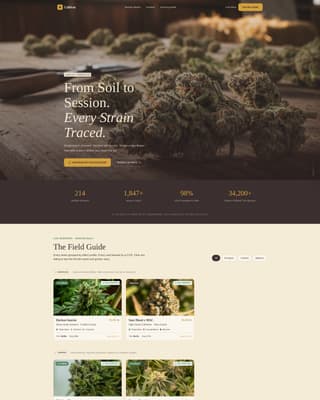 Dispensary & Retail Professional Website Template