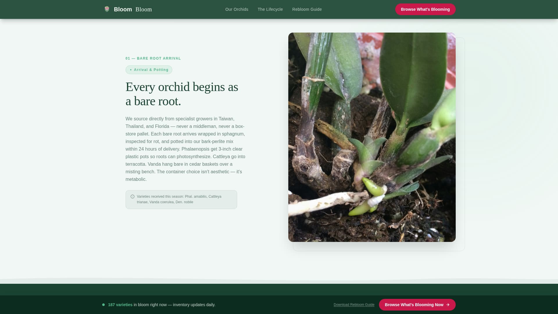 Greenhouse & Indoor Farming Professional Website Template
