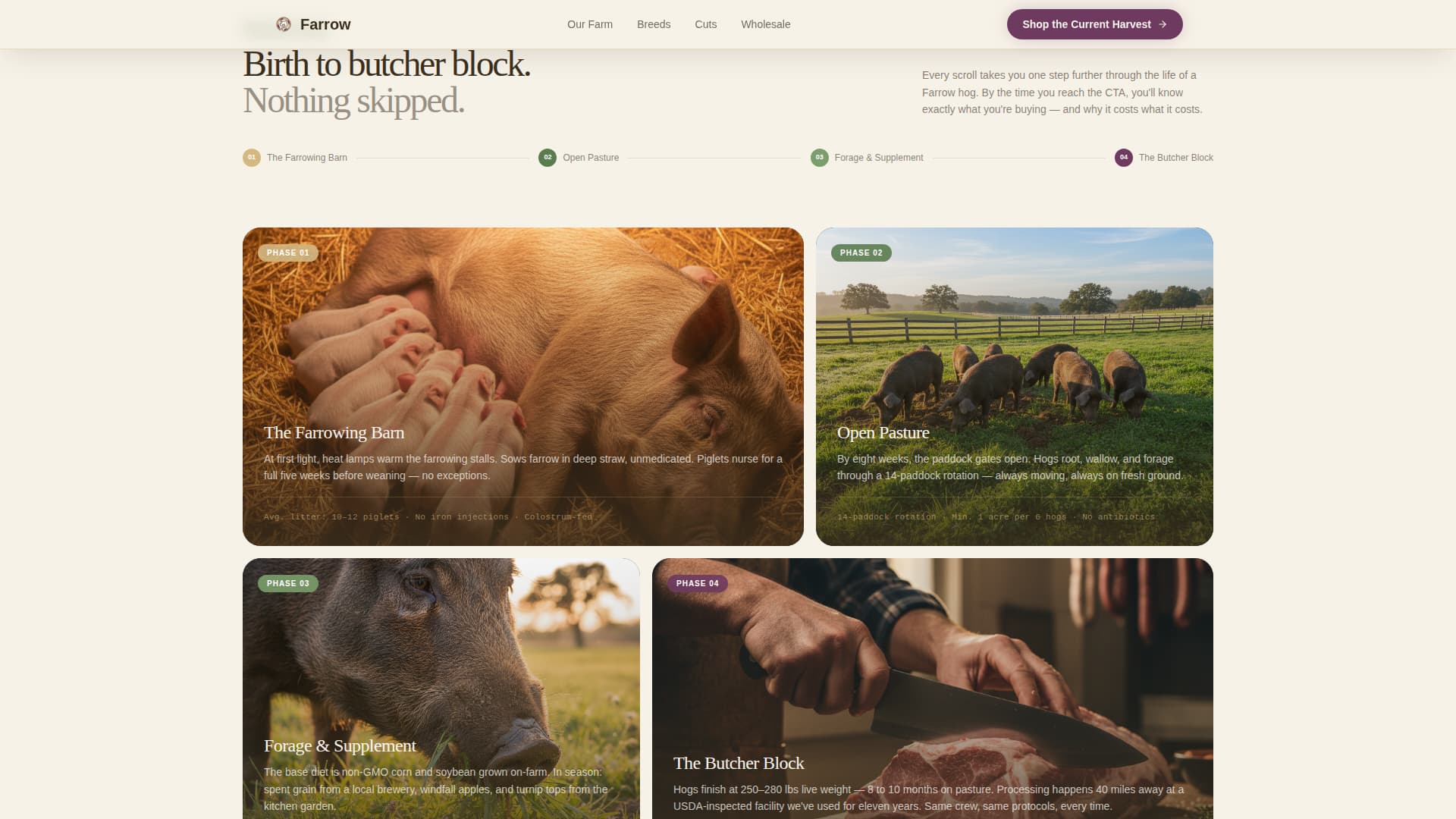 Farrow - Immersive Hog Farm Landing Page Template