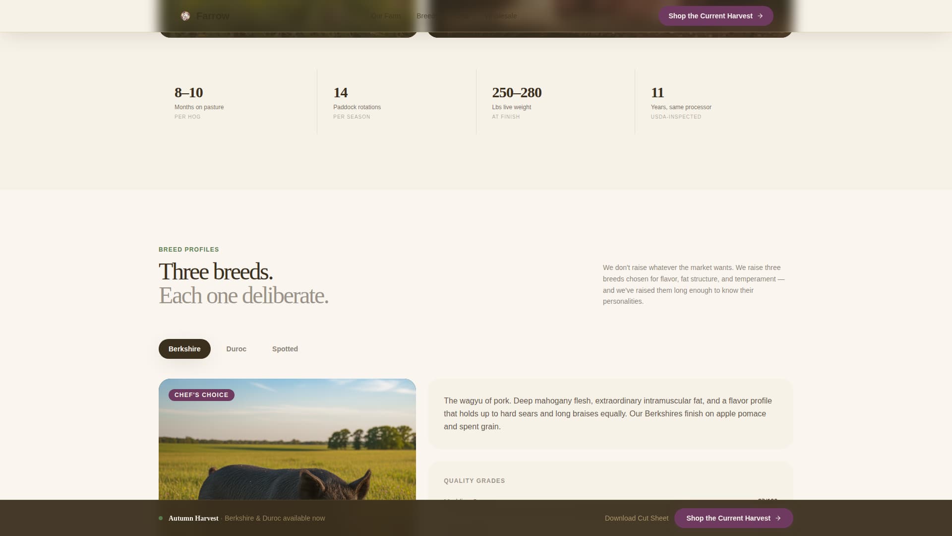 Farrow - Immersive Hog Farm Landing Page Template
