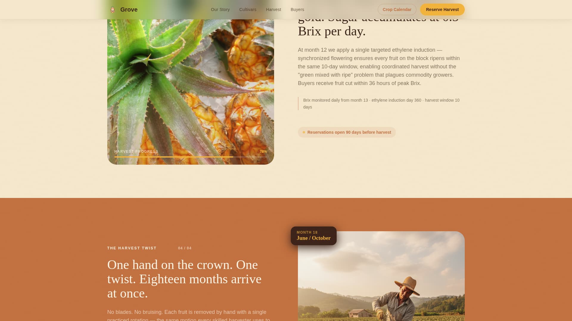 Fruit & Vegetable Farming Reviews Website Template