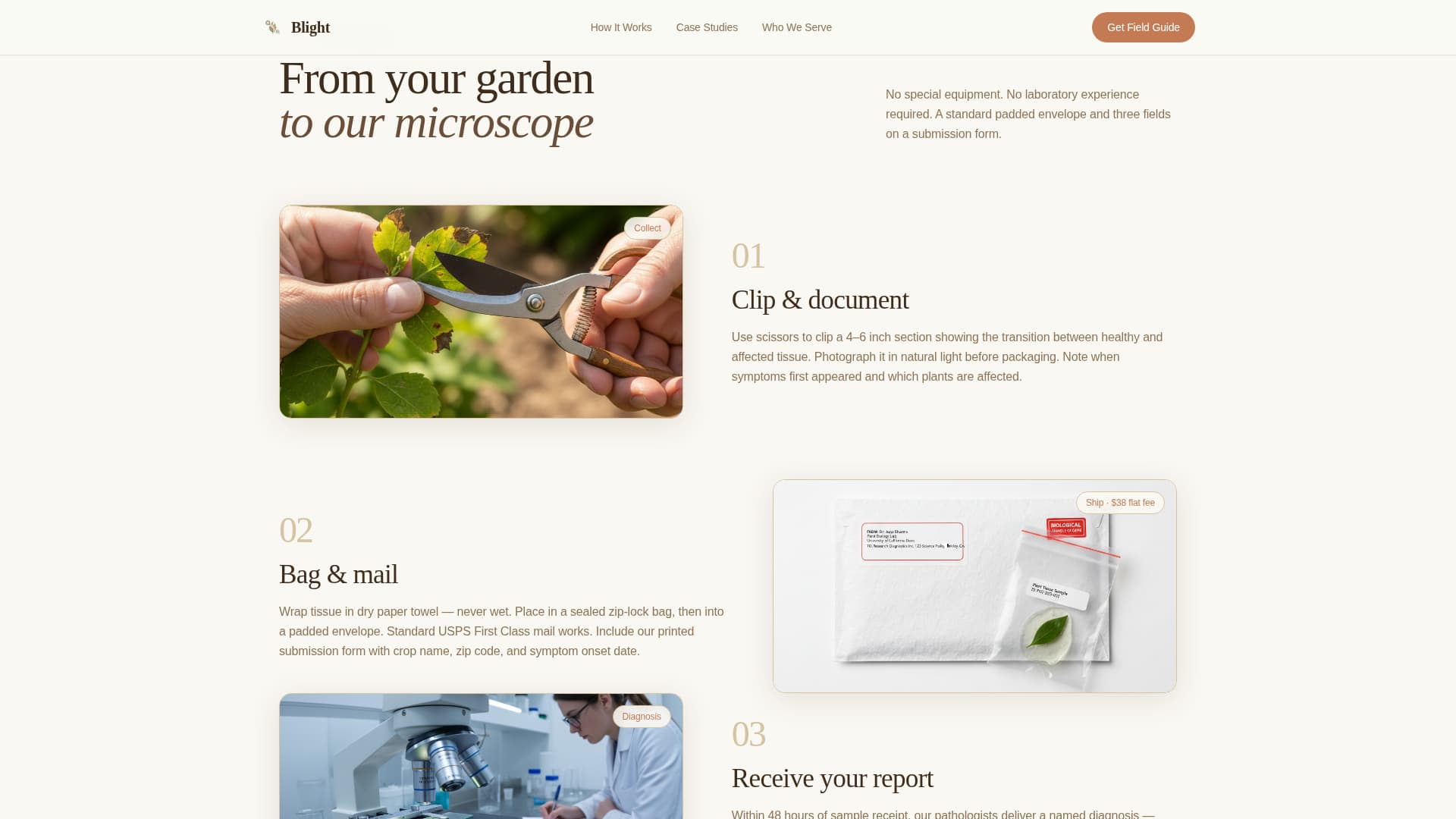 Pest & Crop Protection Portfolio Website Template