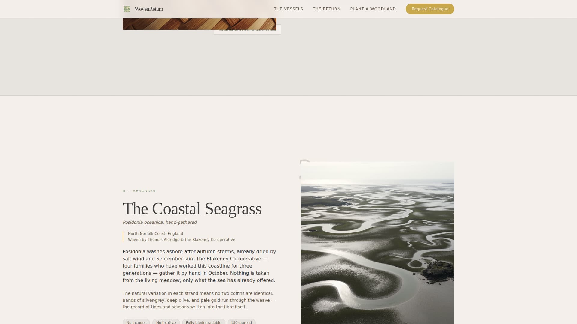 Funeral Professional Website Template