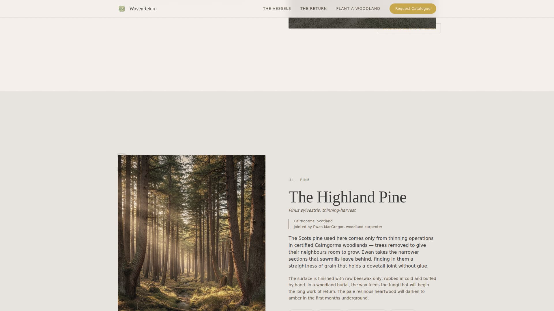 Funeral Professional Website Template