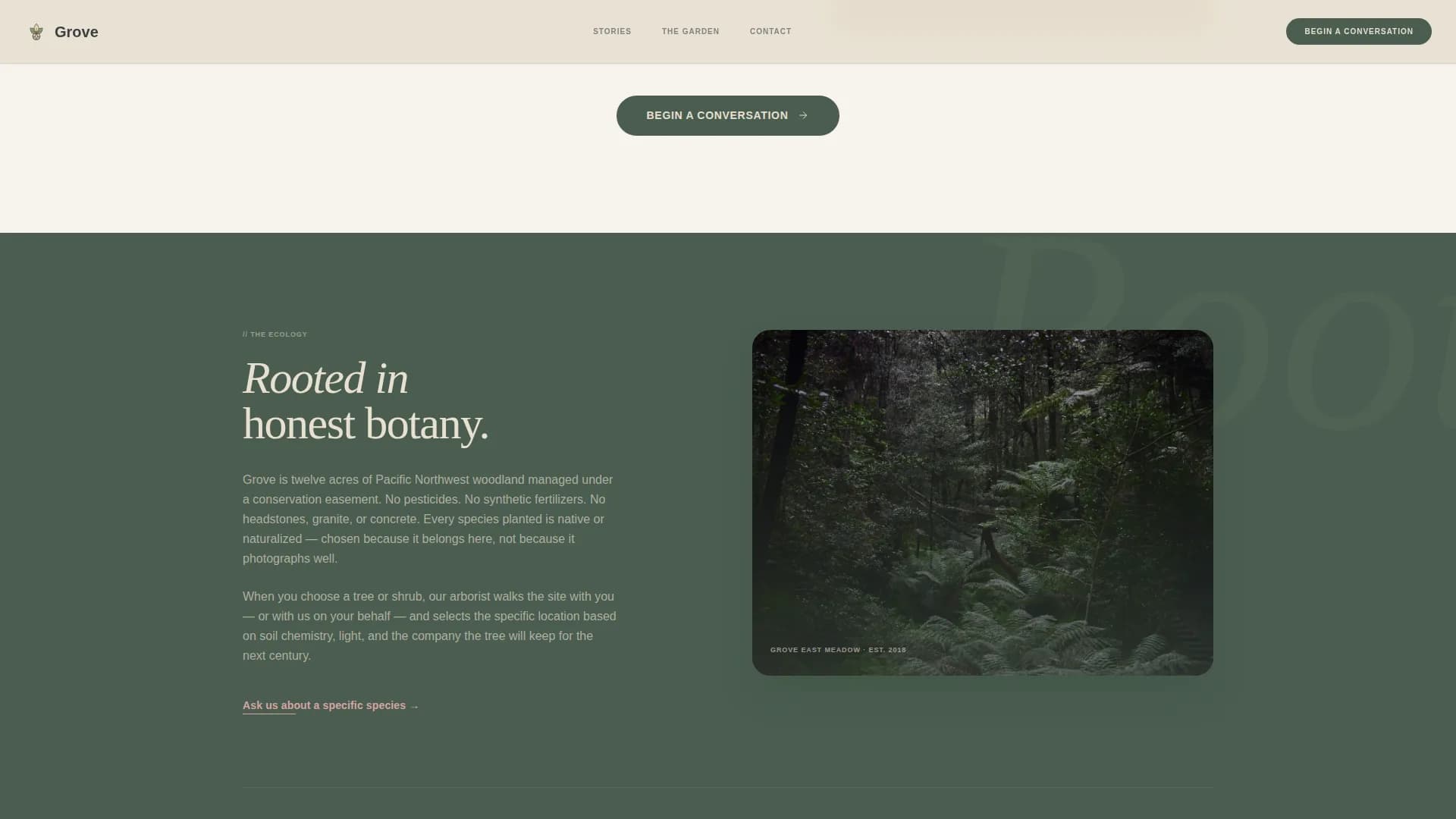 Funeral Services Reviews & Social Proof Website Template