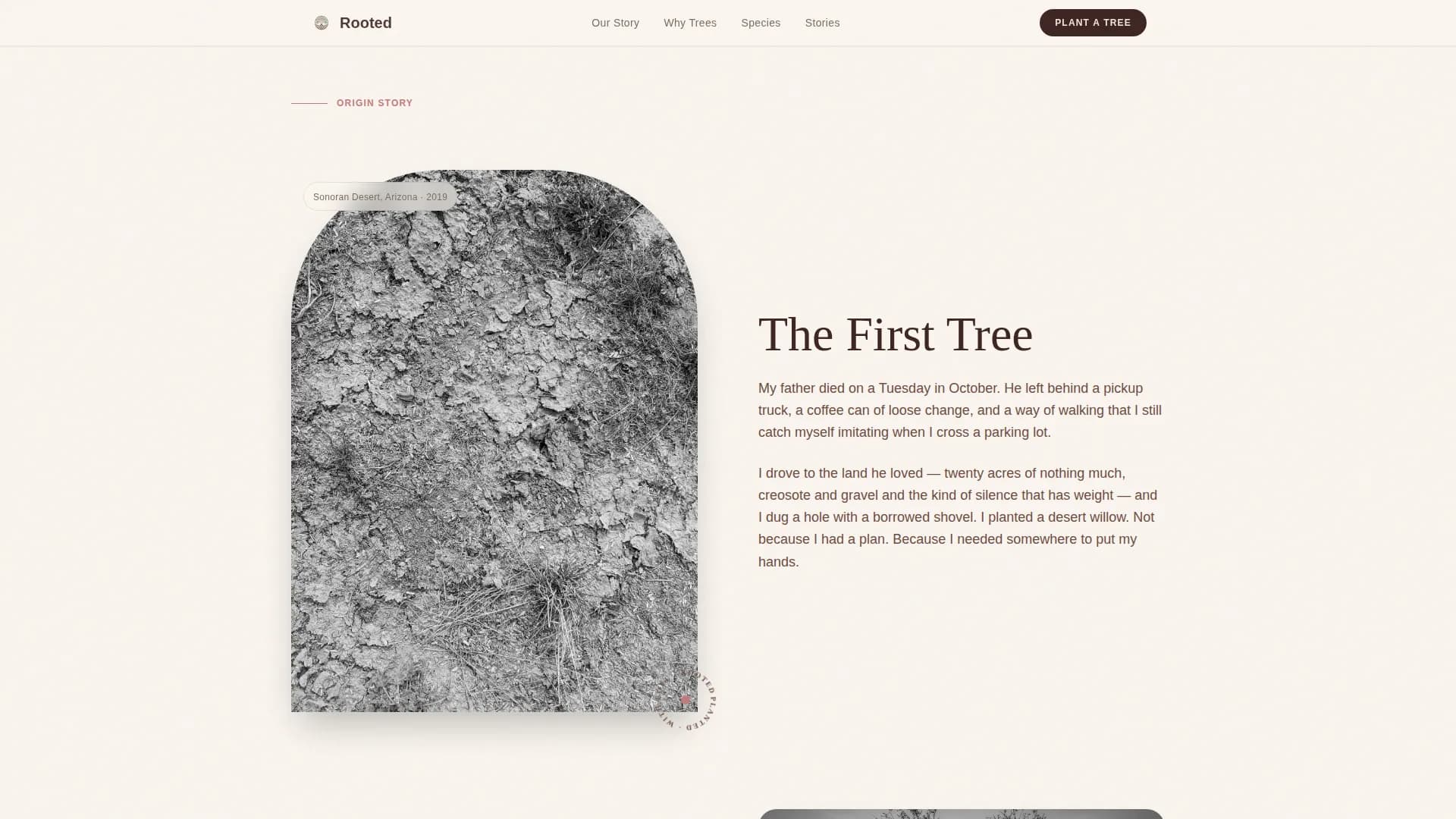 Rooted — Eco Tree Planting Landing Page Template