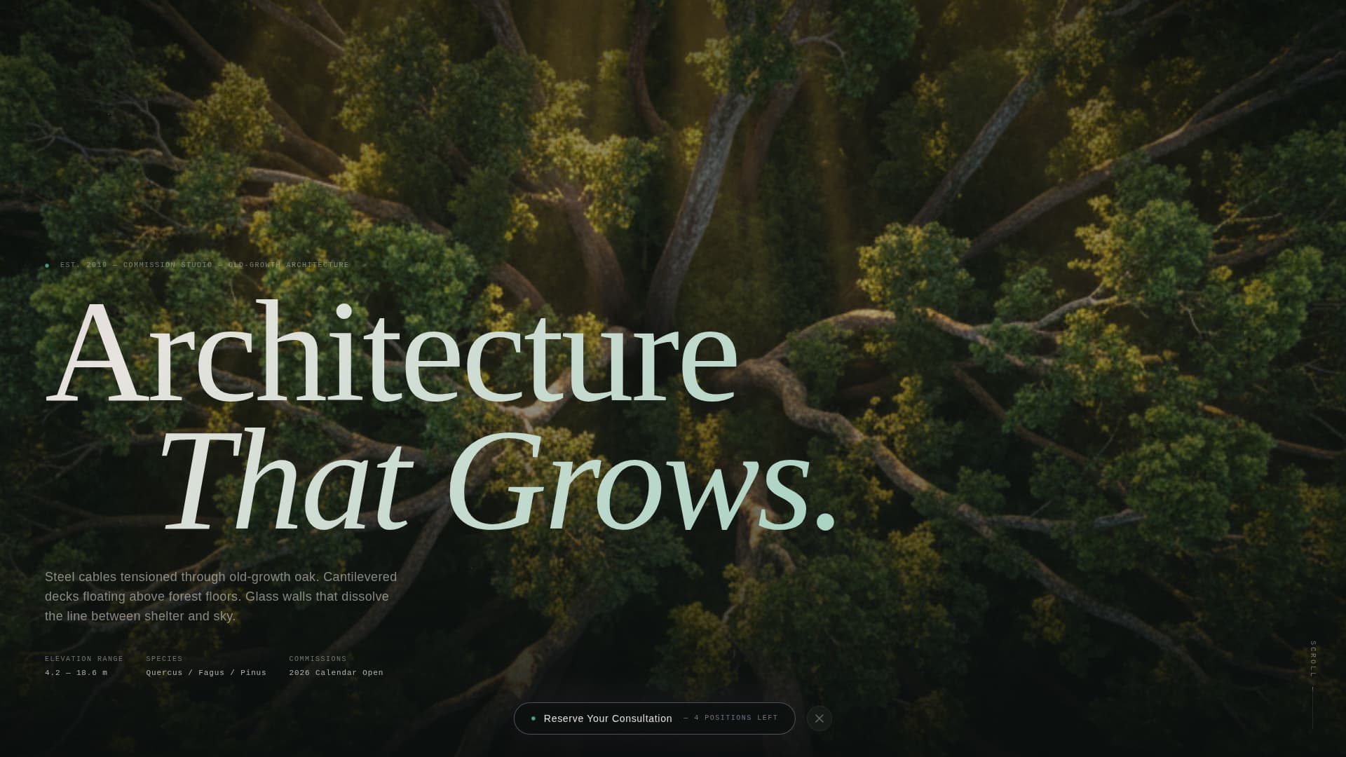 Residential Specialty Design Pre-Launch Website Template