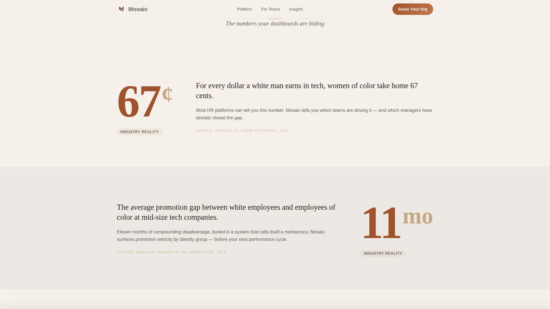 DEI & Inclusion Professional Website Template