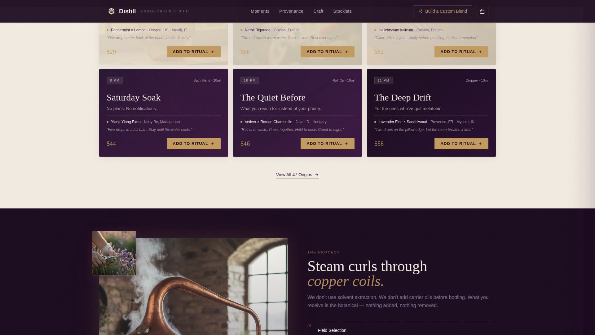 Wellness & Holistic Beauty Professional Website Template