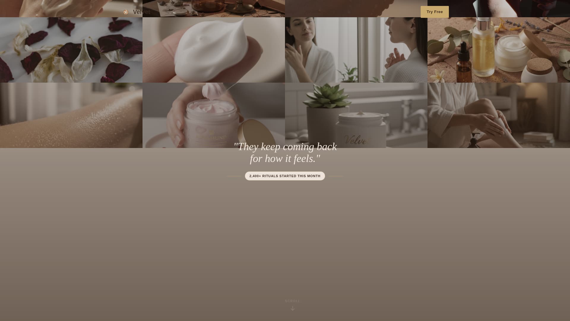 Body Care & Bath Brand Professional Website Template
