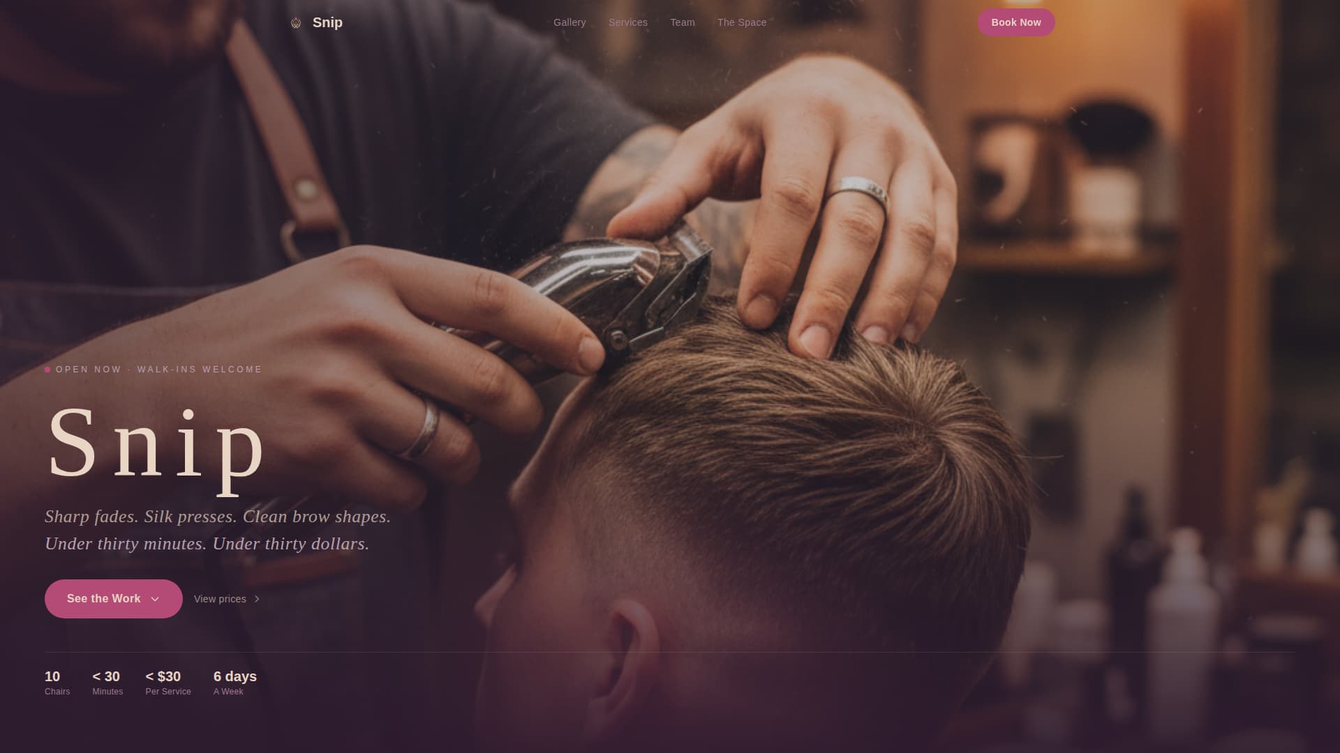 Salon & Hair Studio Booking Website Template