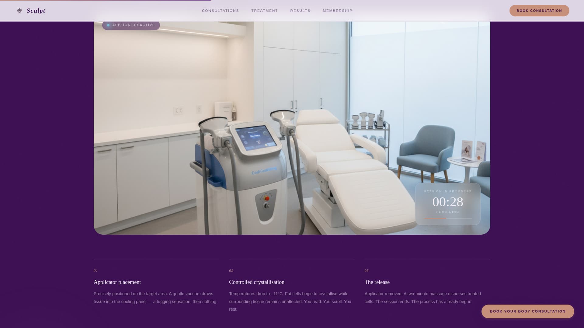 Cosmetic Surgery & Aesthetic Clinic Booking Website Template