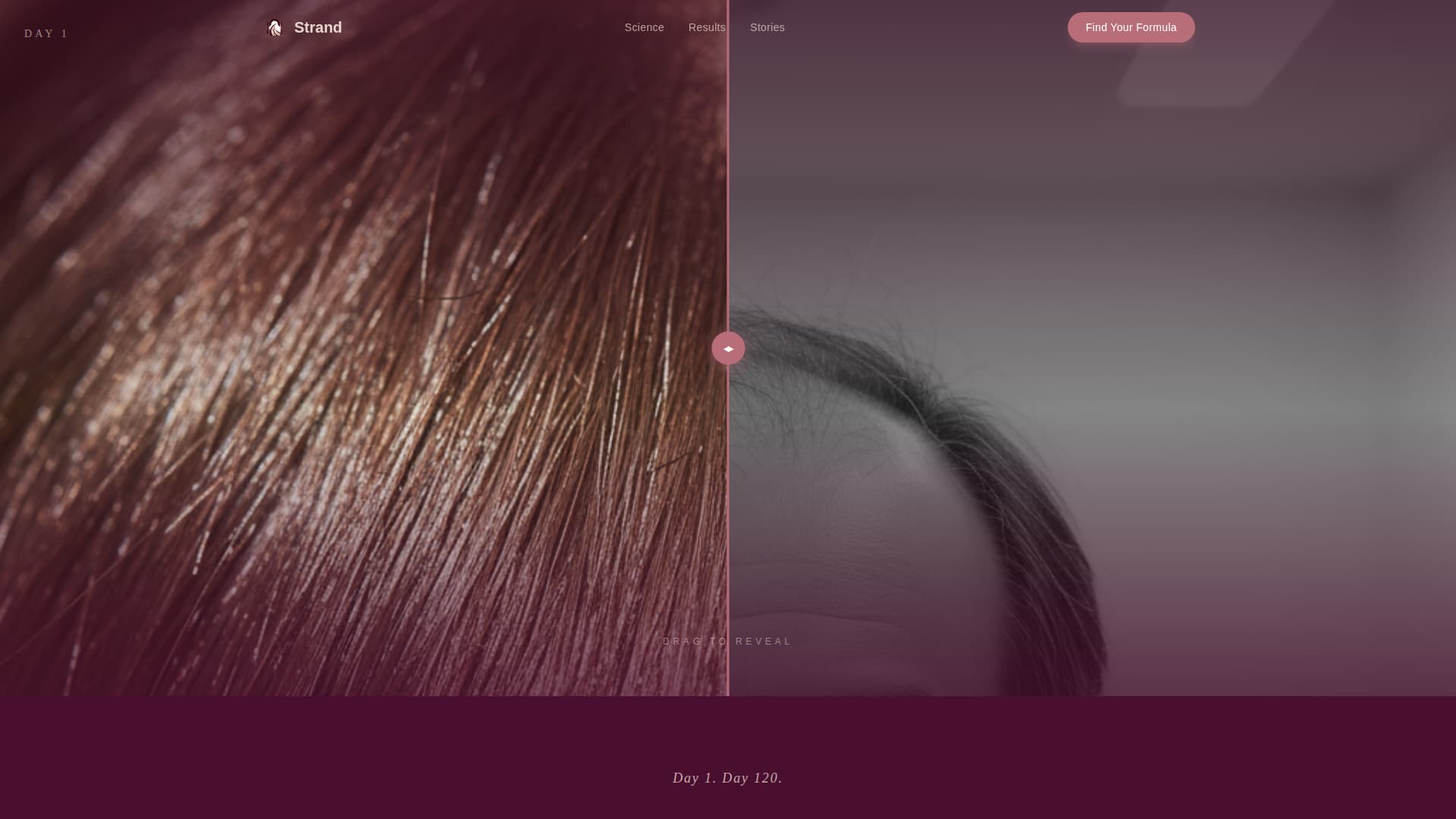 Hair Care Brand & Product Advanced Professional Website Template