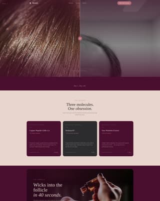 Hair Care Brand & Product Advanced Professional Website Template