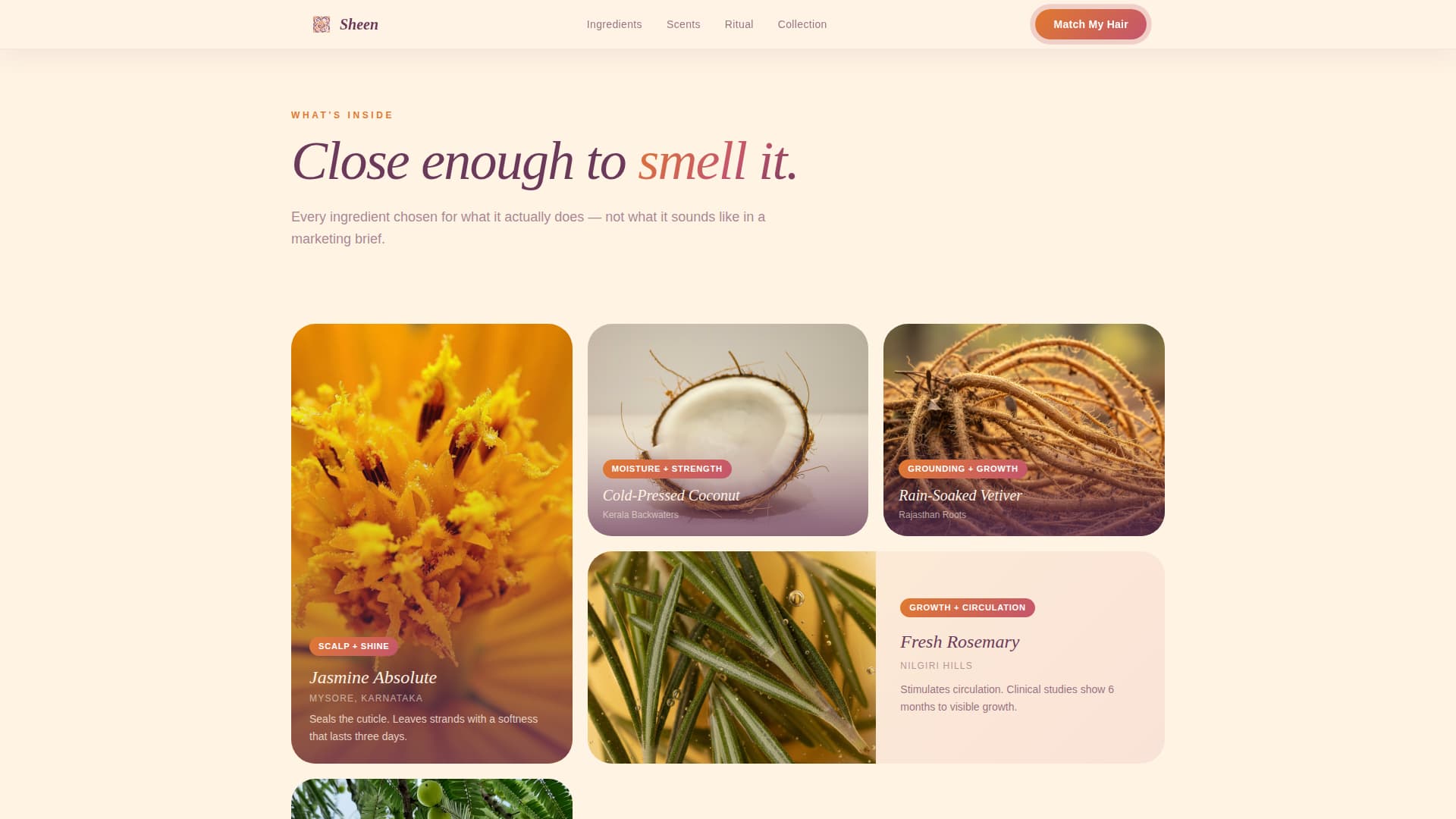 Hair Care Brand & Product Premium Professional Website Template