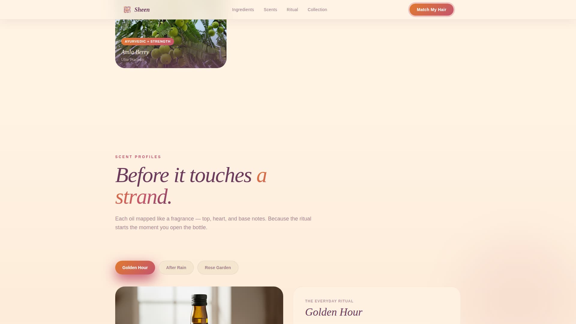 Hair Care Brand & Product Premium Professional Website Template