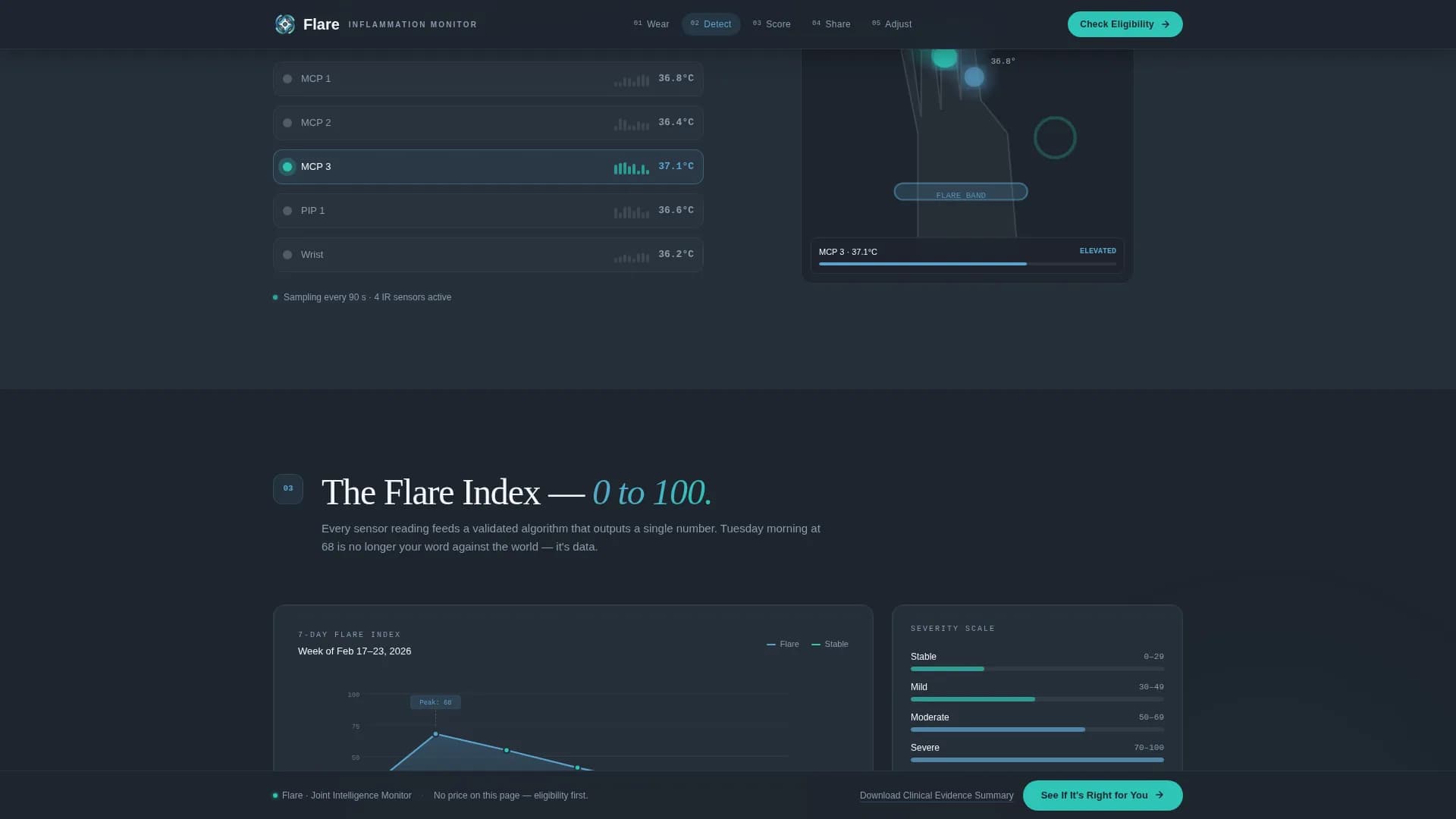 Flare - Monitoring Device Landing Page Template