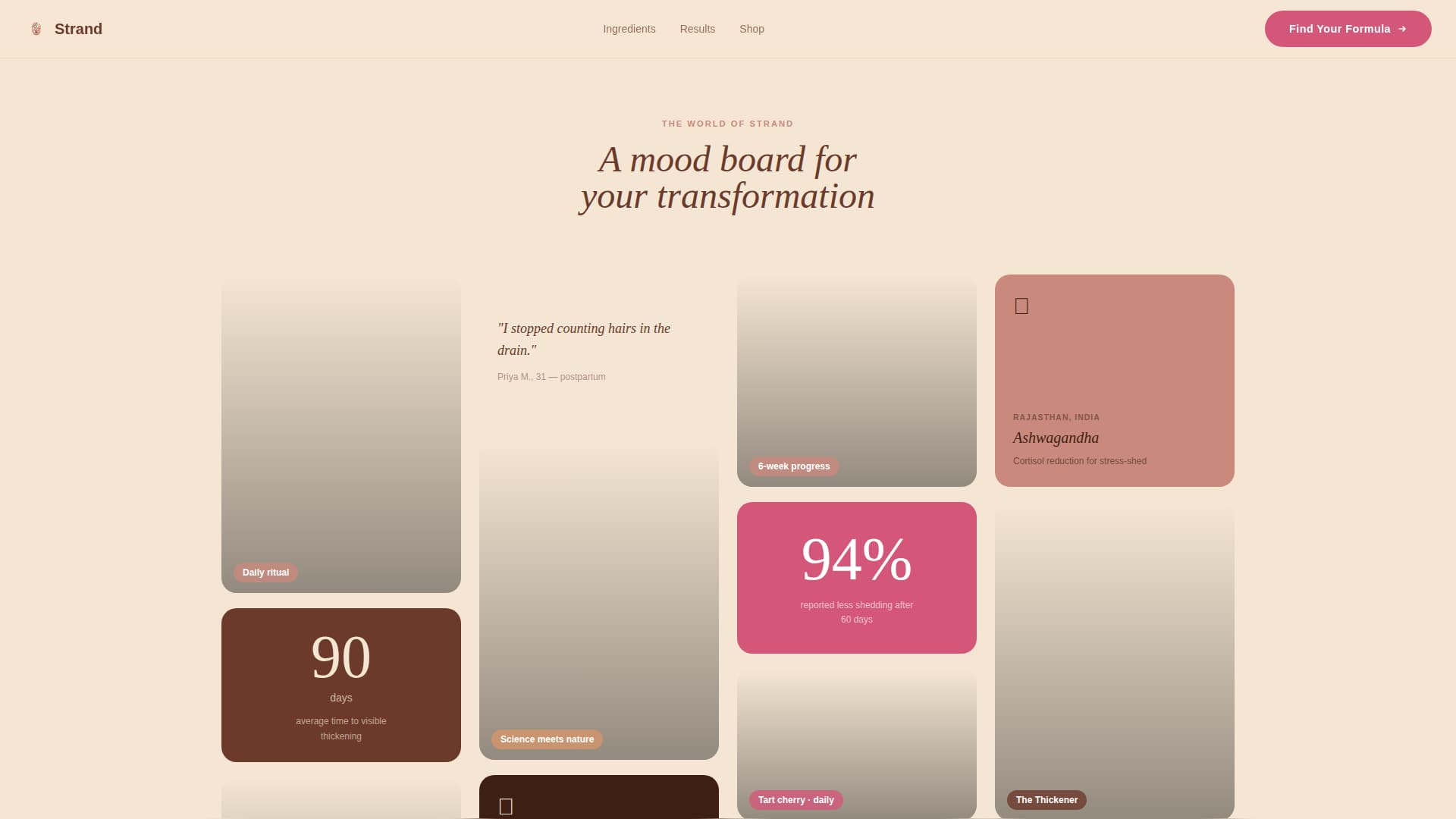 Hair Care Brand & Product Expert Professional Website Template