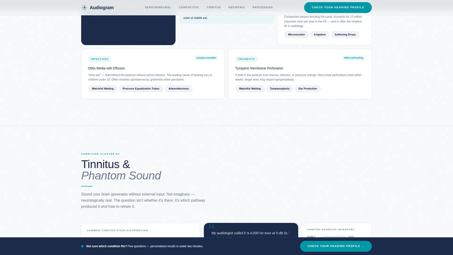 Audiogram - Hearing Health Landing page Template
