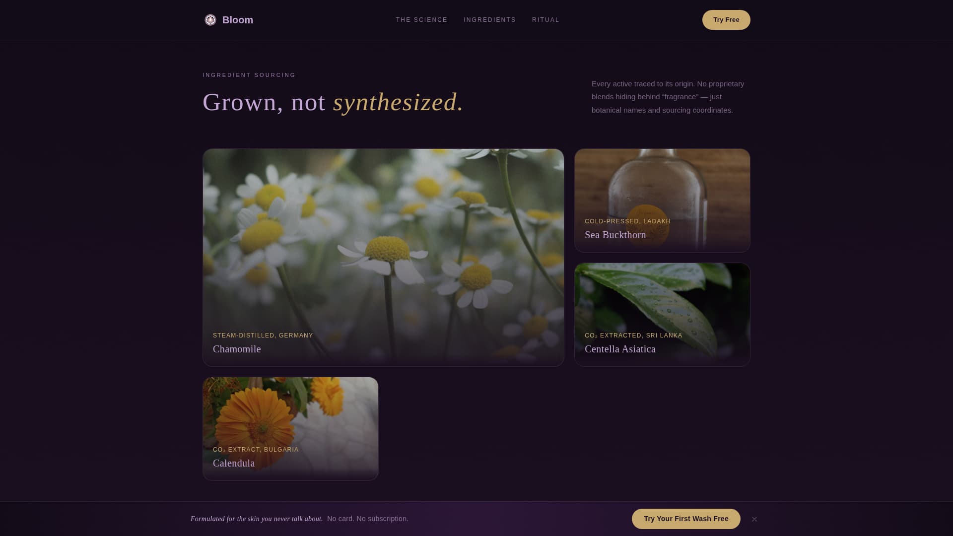 Body Care & Bath Brand Specialist Professional Website Template