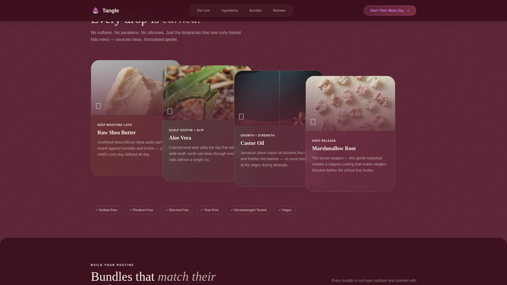 Hair Care Brand & Product Certified Professional Website Template