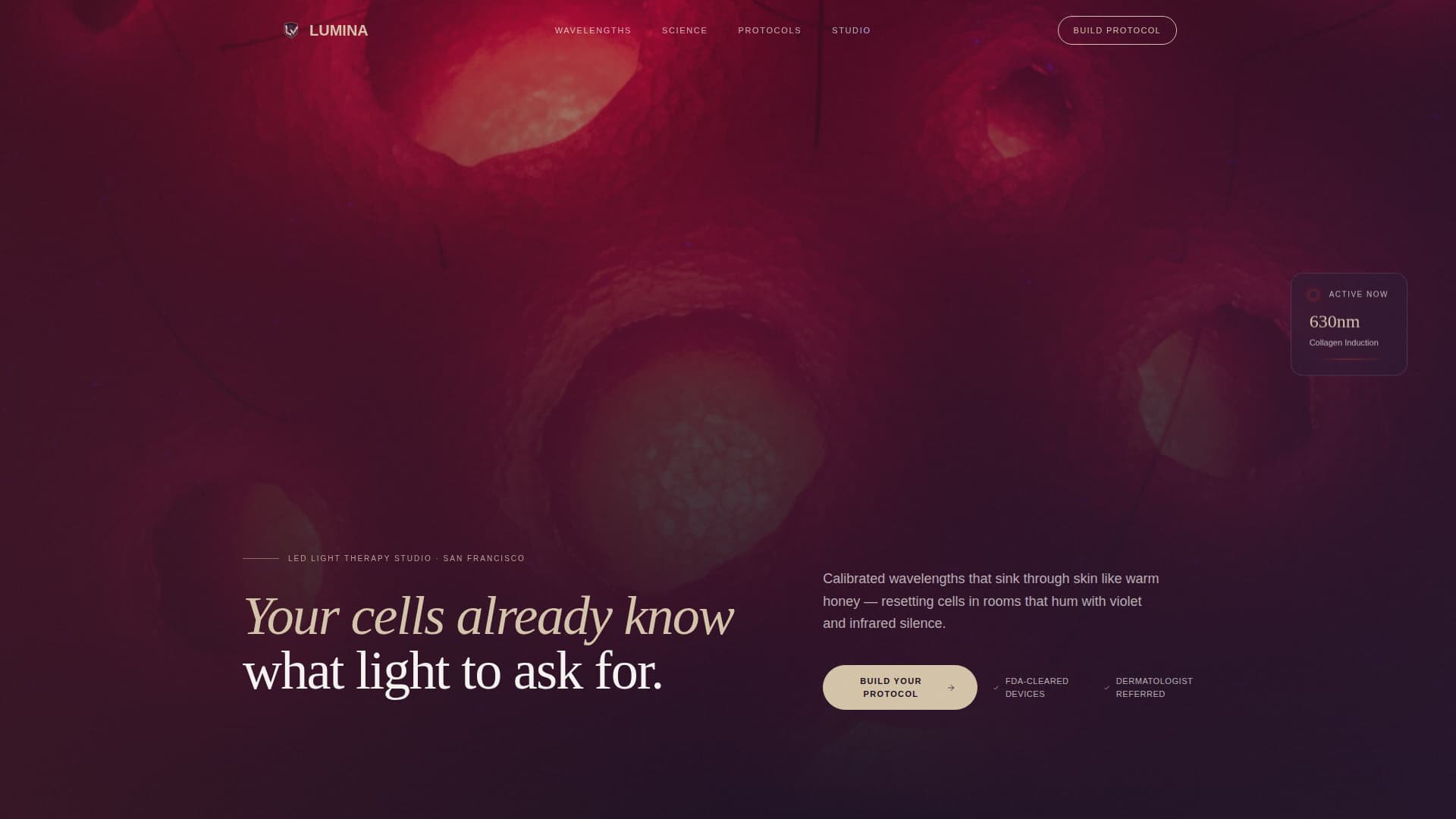 Skincare & Derma Clinic Advanced Booking Website Template