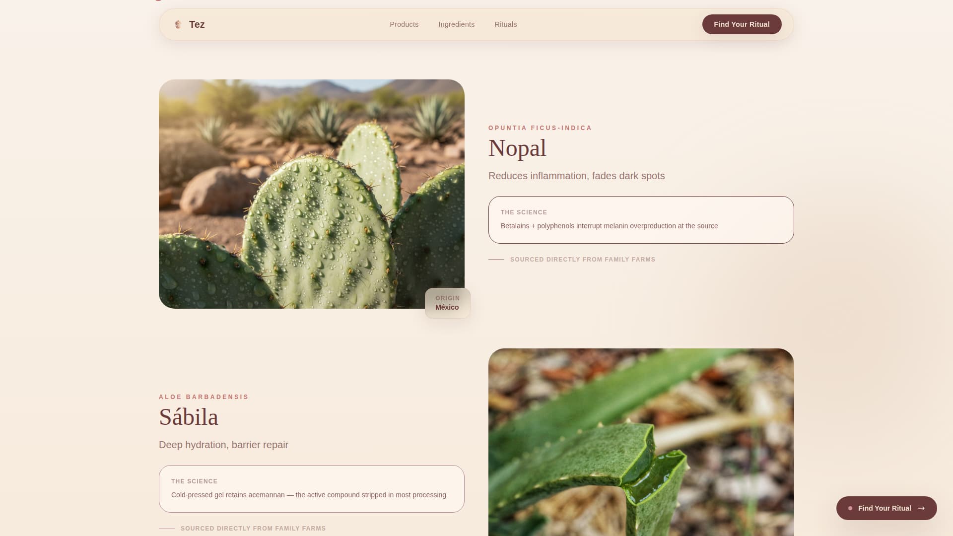 Tez - Radiant Skincare Landing Page Template