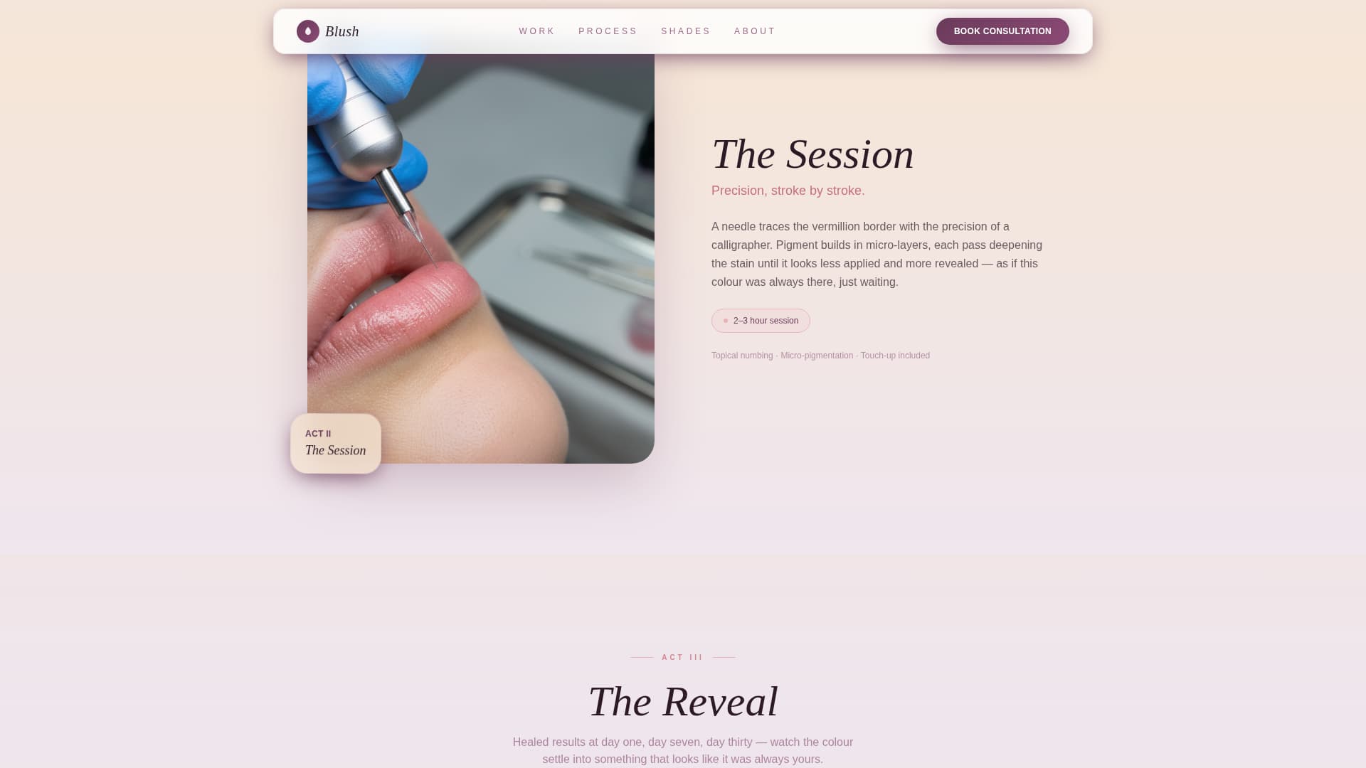 Specialty Beauty Treatments Premium Booking Website Template