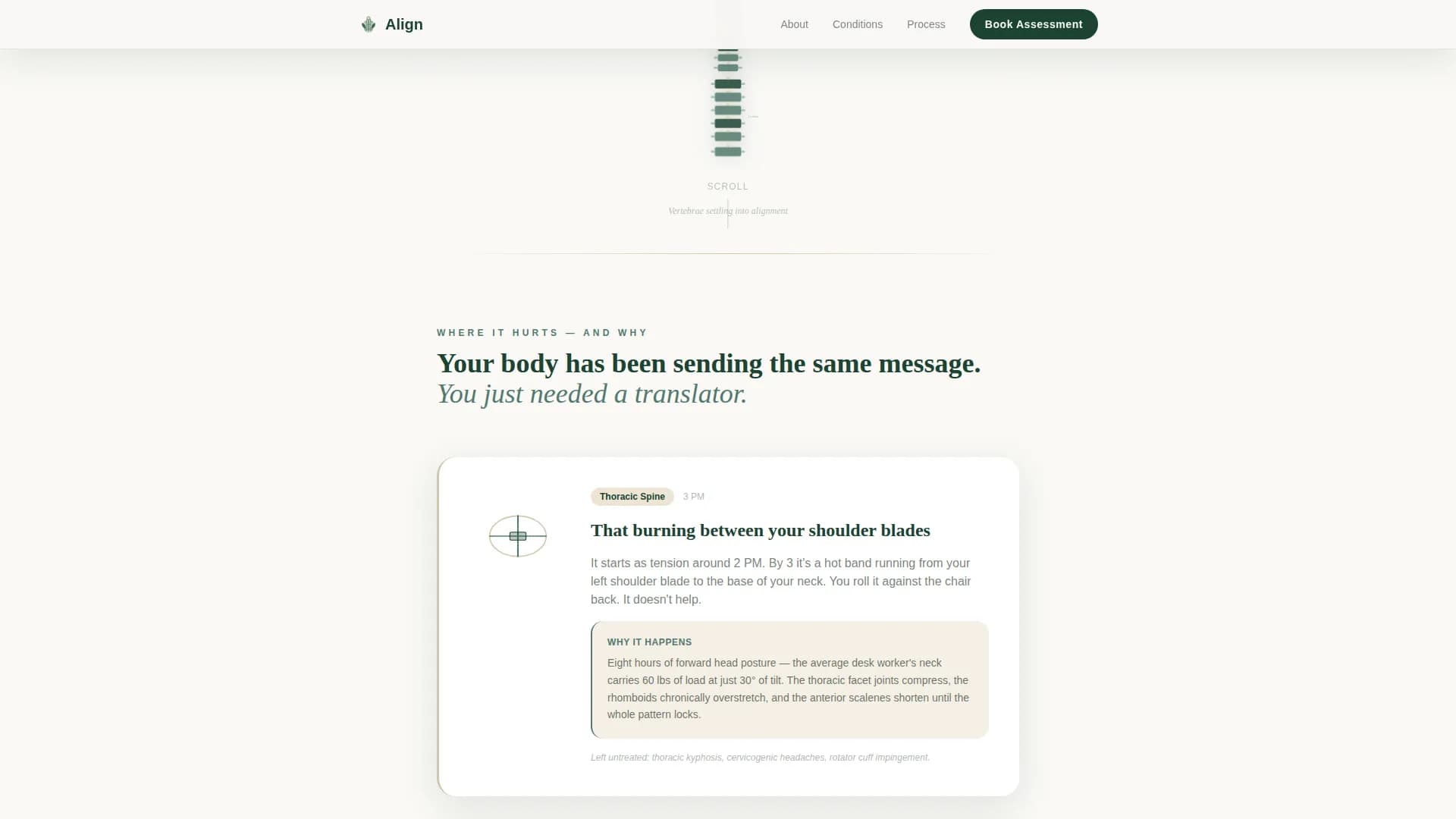 Chiropractor Appointment Booking Website Template